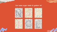 Tebak Nama Organ! Coba Susun Katanya Lewat Tes Buta Warna Ini