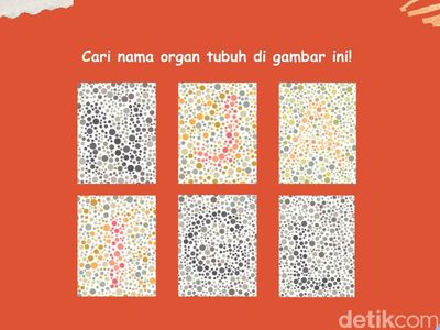 Tebak Nama Organ! Coba Susun Katanya Lewat Tes Buta Warna Ini
