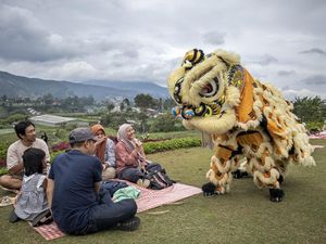 Atraksi Barongsai Semarakkan Imlek 2577 di Tepi Gunung Cisarua