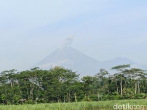 Gunung Semeru Kembali Luncurkan Abu Vulkanik Setinggi 700 Meter