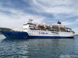 PT Pelni Buka Rekrutmen Project Team 2026, Fresh Graduate Bisa Daftar