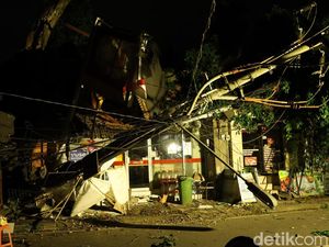Beringin Raksasa Setinggi 25 Meter di Ubud Tumbang, Timpa Resto-Mobil