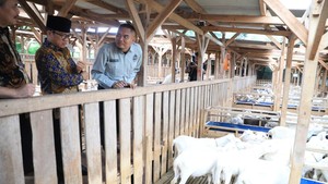 Kemendes PDT Bidik Pengembangan Desa Domba di Karawang