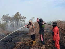 Polisi-TNI Berjibaku Padamkan Kebakaran 10 Hektare Lahan di Bengkalis