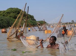 Ratusan Nelayan Padati Sungai Semarakkan Festival Memancing Argungu