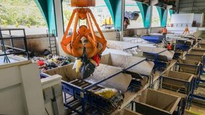 Sudah Pernah Lihat Tempat Pembuangan Sampah IKN? Canggih Lho