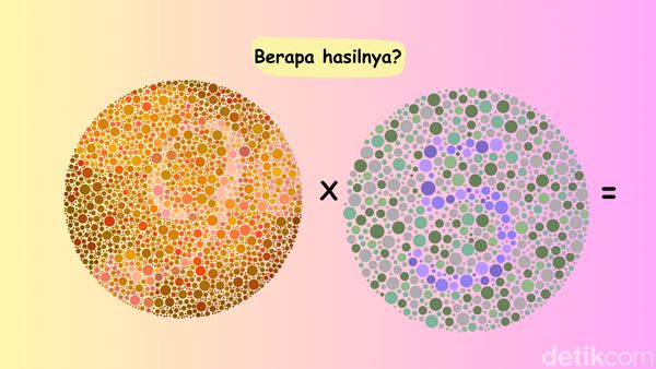 Bisa Baca Angka Tersembunyi Ini? Coba Hitung Hasilnya
