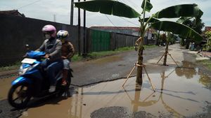 Kesal Jalan Rusak, Warga Tulungagung Pilih Tanam Pohon Pisang