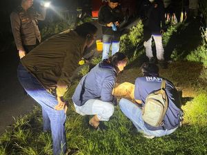Mayat Pria Penuh Luka Ditemukan di Tepi Sawah, Ini Dugaan Polisi