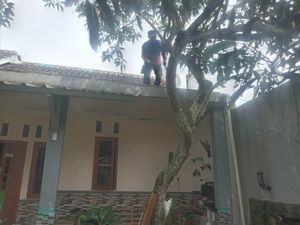 Kala Damkar Kuningan Berjibaku Tangkap Burung Warga