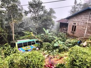 Bus Terjun ke Jurang Jalan Trans Flores Manggarai Barat, 3 Penumpang Terluka