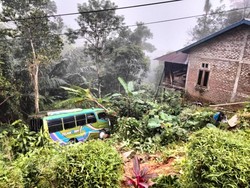 Bus Terjun ke Jurang Jalan Trans Flores Manggarai Barat, 3 Penumpang Terluka