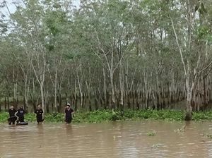 Tak Pulang Usai Nyadap Karet, Warga OKI Ditemukan Tewas Tenggelam di Rawa