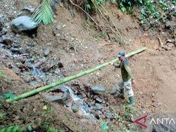 Jalur Curug Cibeureum di Gunung Gede Ditutup Akibat Longsor