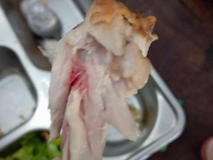 Viral Ayam-Buah MBG di Jombang Disebut Tak Layak Konsumsi