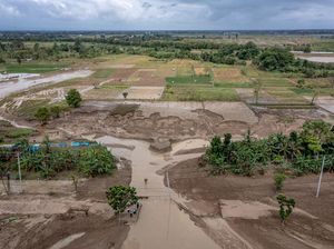 Penampakan Tanggul Sungai Tuntang Jebol, Jalur Semarang-Purwodadi Lumpuh