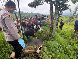 Petani Ditemukan Tewas di Sawah Toraja Utara, Kepala Bersimbah Darah