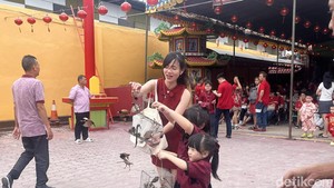 Lepas Burung Pipit Saat Imlek 2577, Buang Sial dan Harapan Baru Mengudara