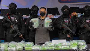 BNN RI Musnahkan Puluhan Kilogram Narkotika Golongan I
