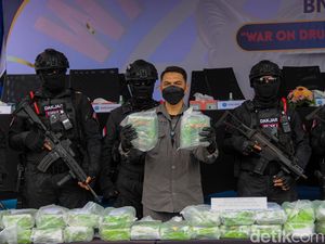 BNN RI Musnahkan Puluhan Kilogram Narkotika Golongan I