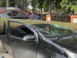 Pohon Tumbang Timpa 3 Mobil di Lokasi Pasar Murah Palembang