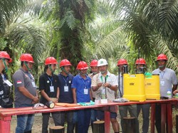 Kisah Petani Sawit Tertipu Bibit Abal-abal hingga Bangkit Tanam Harapan Baru