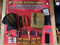 Polisi Tangkap Pengedar 1,4 Kg Ganja Siap Edar di Muaro Jambi