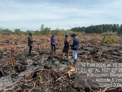 Pembakar Lahan di Bengkalis Riau Ditangkap, Dalihnya Bakar Sarang Tawon