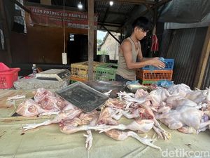 Harga Ayam Naik Meski Pasokan di Sumut Diklaim Aman
