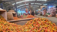 Mentan Sebut Harga Cabai & Ayam Mulai Turun