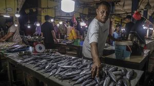 Produksi Ikan 3,57 Juta Ton, KKP Jamin Ketersediaan Selama Ramadhan 2026