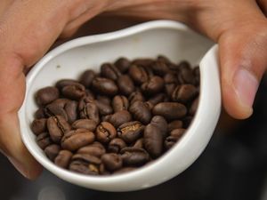 5 Kopi Single Origin Terbaik di Indonesia, Rasanya Khas dan Mendunia!