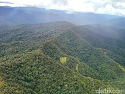 Kesaksian Warga Temukan Pesawat BBM Jatuh di Krayan: Pilot Tewas Terbakar