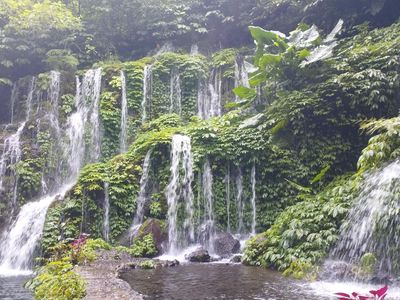 Banyu Wana Amertha: Air Terjun Eksotis di Hutan Wanagiri