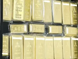 Donatur Misterius Beri Emas Batangan 21 Kg ke Pemerintah Jepang