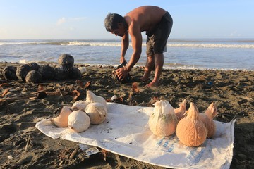 Berita dari Detik Finance: Ramadan Dongkrak Penjualan Kelapa Muda Bakar