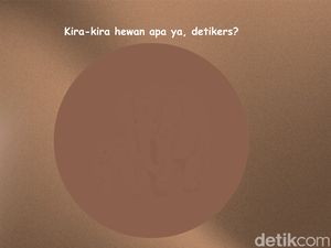 Sekilas Samar, Bisa Temukan Hewan Tersembunyi di Gambar Ini?