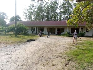 Kawanan Gajah Masuki Mess Karyawan di Siak, Polisi Pastikan Tak Ada Korban