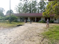 Kawanan Gajah Masuki Mess Karyawan di Siak, Polisi Pastikan Tak Ada Korban