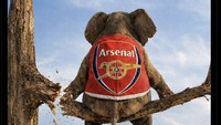 Si Gajah pun diprediksi segera jatuh dari pucuk. Foto: dok. Internet/X (Twitter)