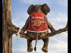 Si Gajah pun diprediksi segera jatuh dari pucuk. Foto: dok. Internet/X (Twitter)