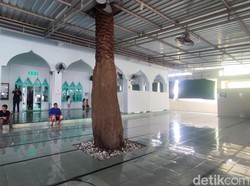 Kisah Pohon Kurma Setinggi 7 Meter yang Tumbuh di Dalam Masjid Bali