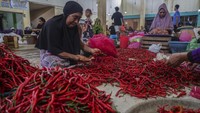 Stok Cabai Nasional Melimpah, Kebutuhan Ramadan-Lebaran Aman
