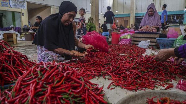 Stok Cabai Nasional Melimpah, Kebutuhan Ramadan-Lebaran Aman