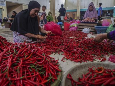 Stok Cabai Nasional Melimpah, Kebutuhan Ramadan-Lebaran Aman