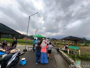 Sawah Lope: Dari Tempat Isolasi COVID-19 Jadi Objek Wisata Hits di Kuningan