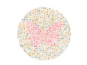 Nggak Perlu Bingung, Coba Temukan Gambar Hewan yang Tersembunyi di Pola Ini