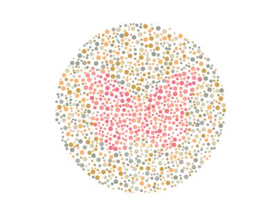 Nggak Perlu Bingung, Coba Temukan Gambar Hewan yang Tersembunyi di Pola Ini