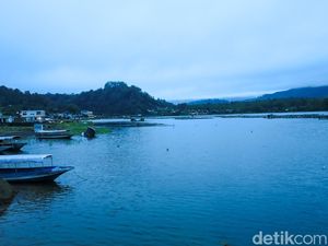 Bupati Minta ASN-Warga Bersihkan Eceng Gondok di Danau Batur