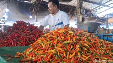 Harga Cabai Rawit Tambah Mahal, Hampir Rp 100 Ribu/Kg!